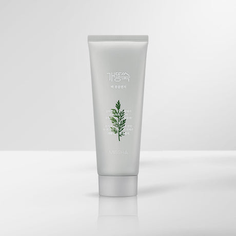 Artemisia Pack Foam Cleanser